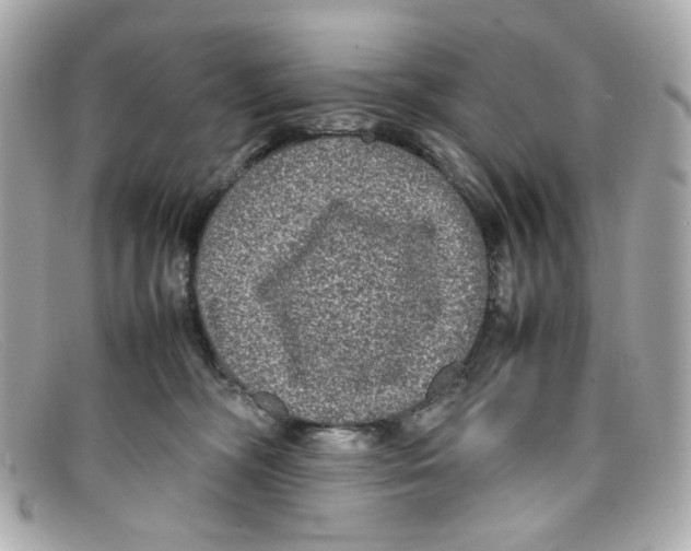 X0000097960326200804211110