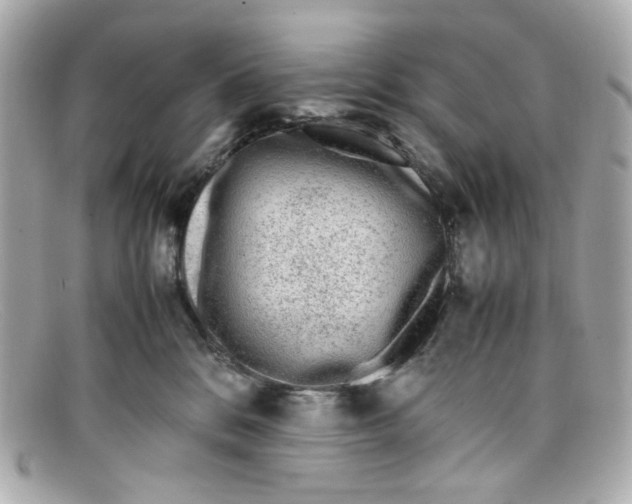 X0000097960328200804211110