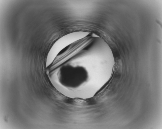 X0000097960333200804211110