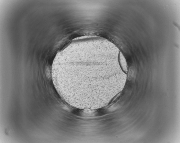X0000097960335200804211109