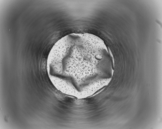X0000097960336200804211109