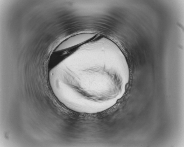 X0000097960337200804211109