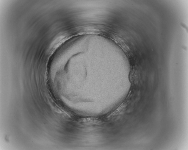 X0000097960338200804211109