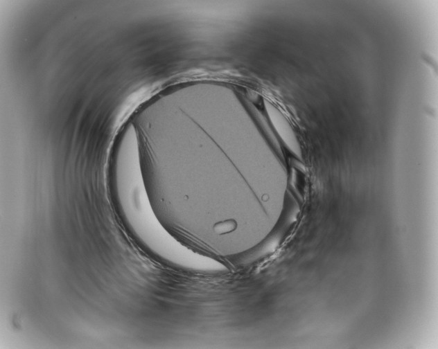 X0000097960340200804211109