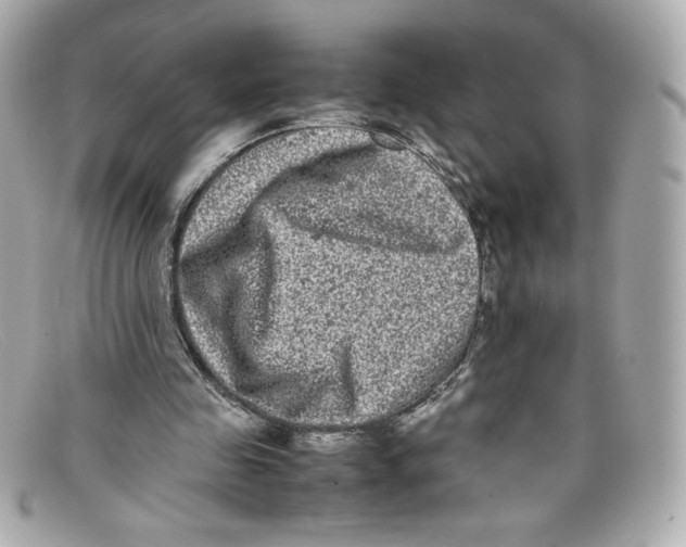 X0000097960341200804211109
