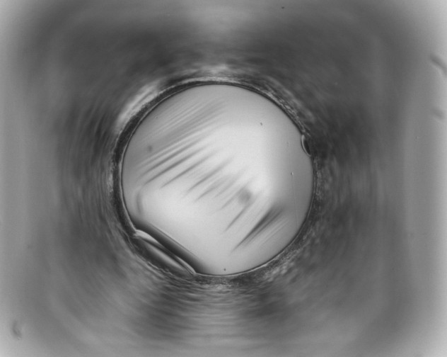 X0000097960344200804211109