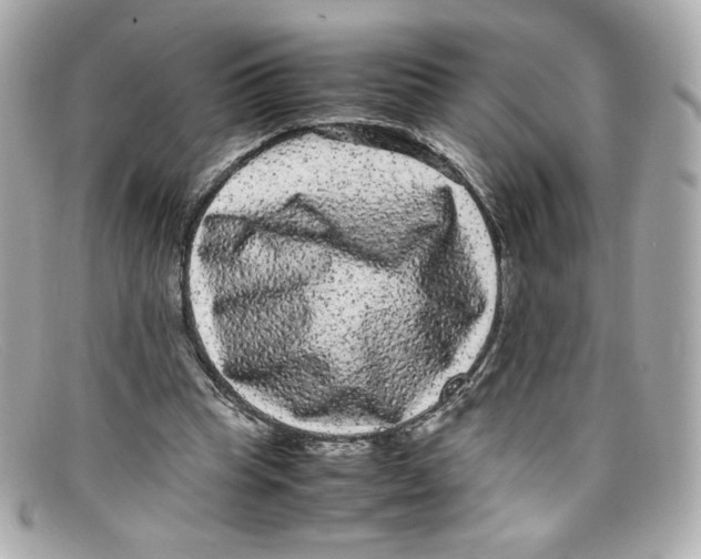 X0000097960345200804211109