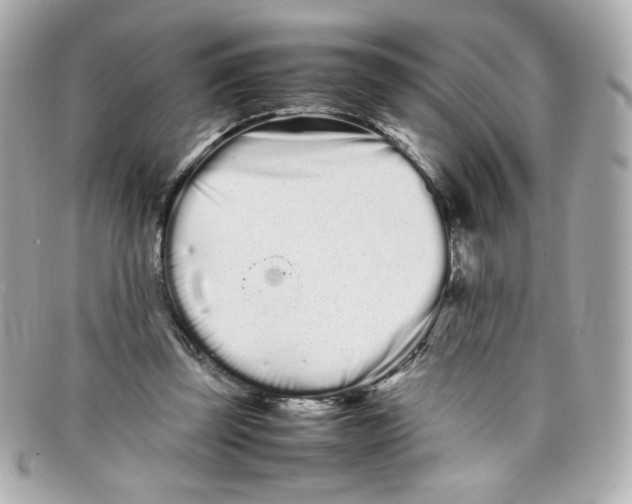 X0000097960347200804211109