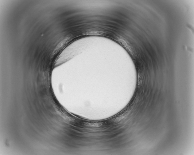 X0000097960349200804211109