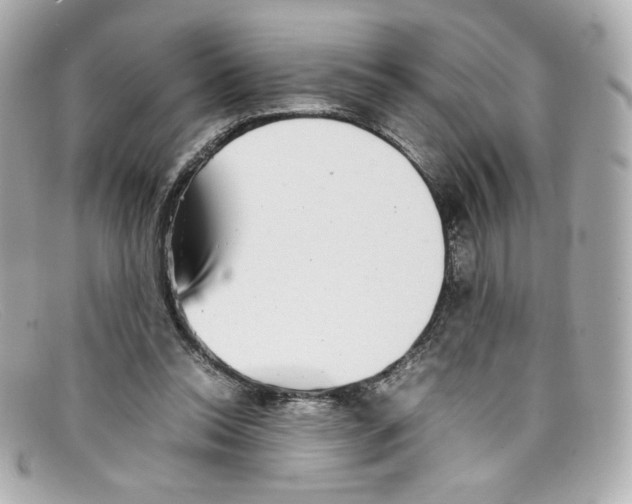 X0000097960350200804211109