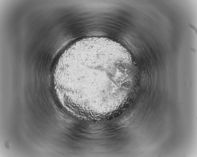 X0000097960351200804211109