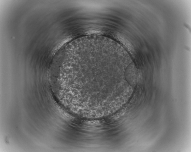 X0000097960353200804211109