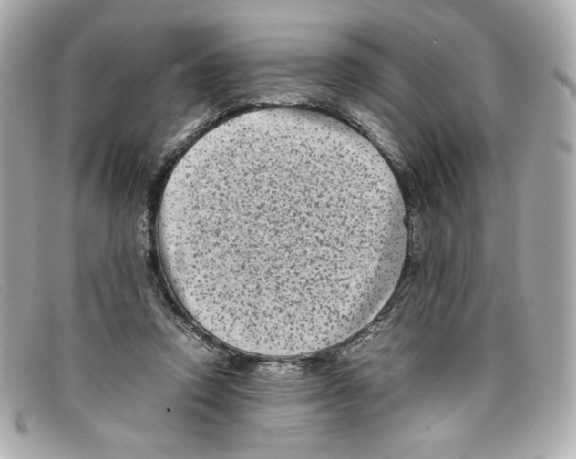 X0000097960354200804211109