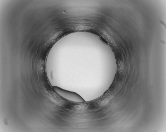 X0000097960356200804211109