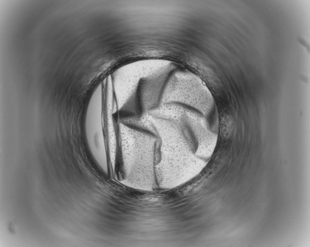X0000097960358200804211109