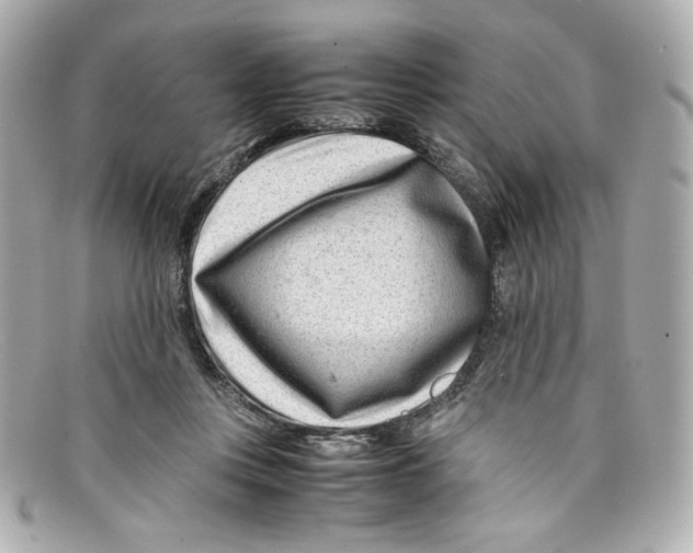X0000097960359200804211109