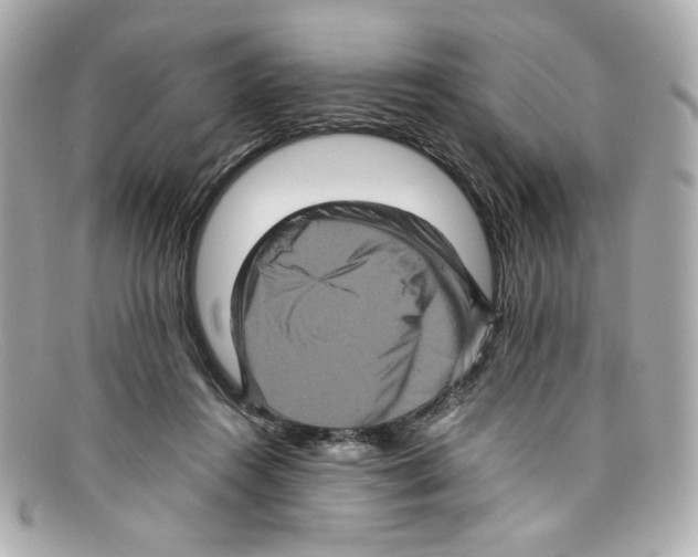 X0000097960360200804211109