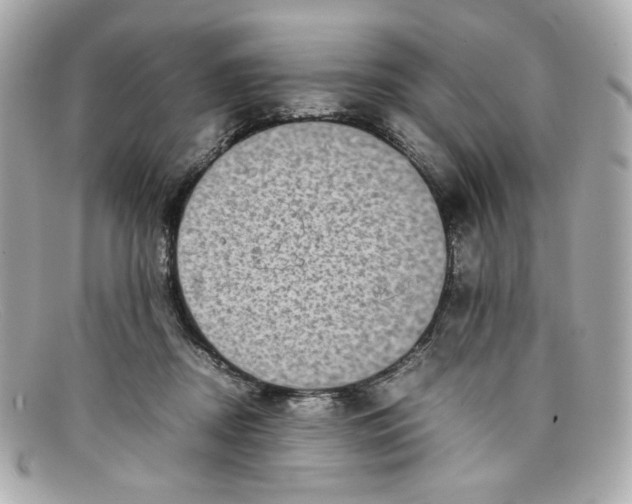 X0000097960362200804211109