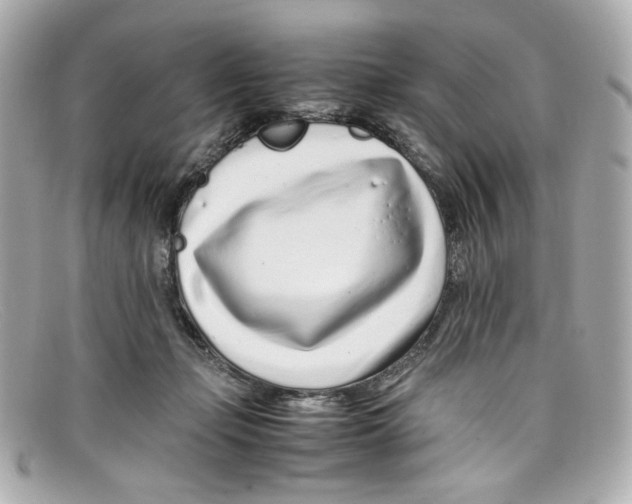 X0000097960365200804211109