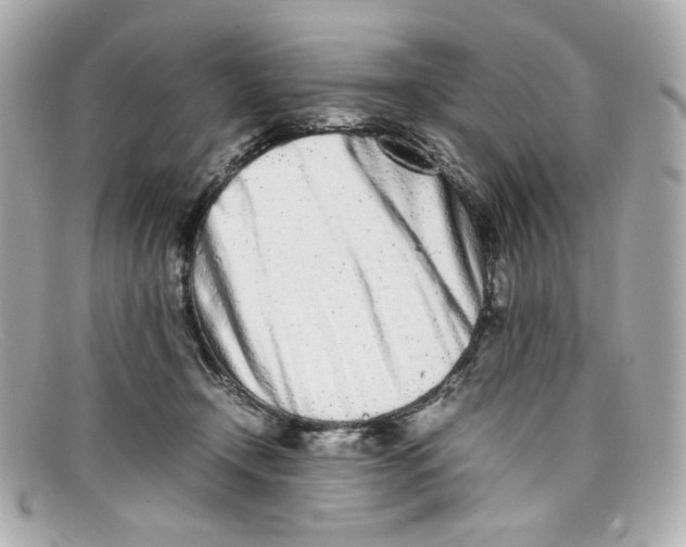 X0000097960366200804211109
