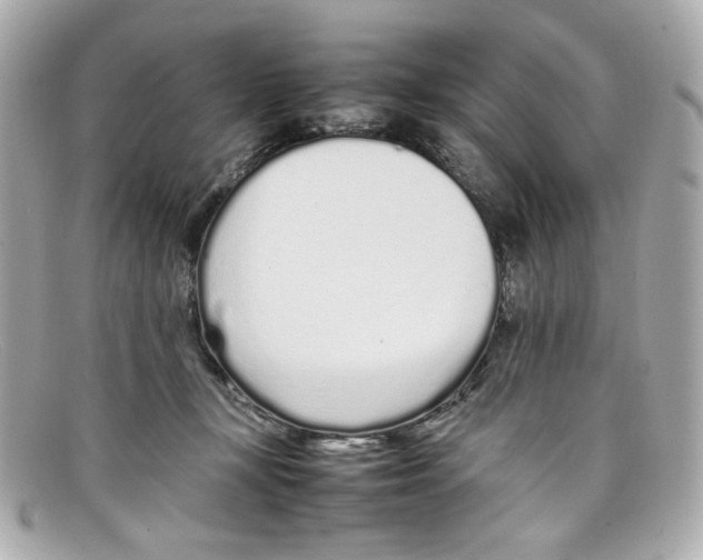 X0000097960367200804211109
