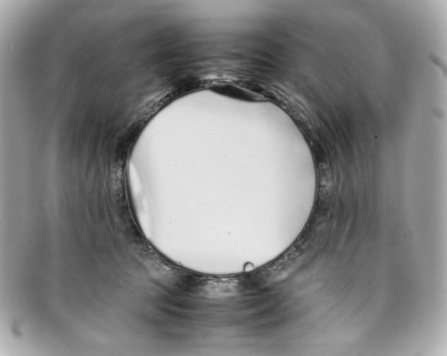 X0000097960369200804211109