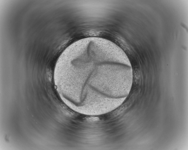X0000097960374200804211109