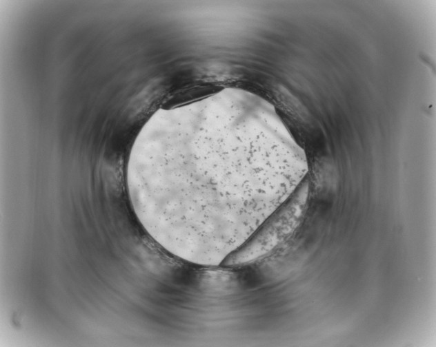 X0000097960376200804211109