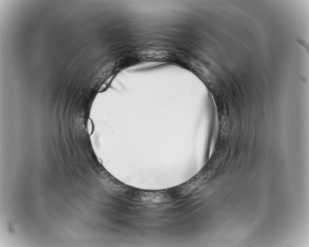 X0000097960377200804211109