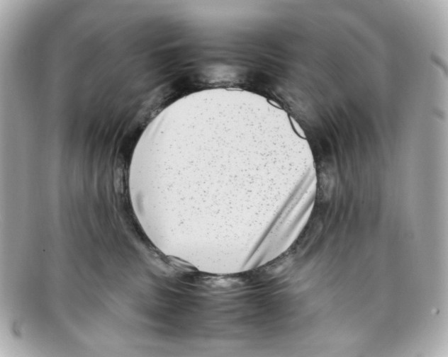 X0000097960379200804211109