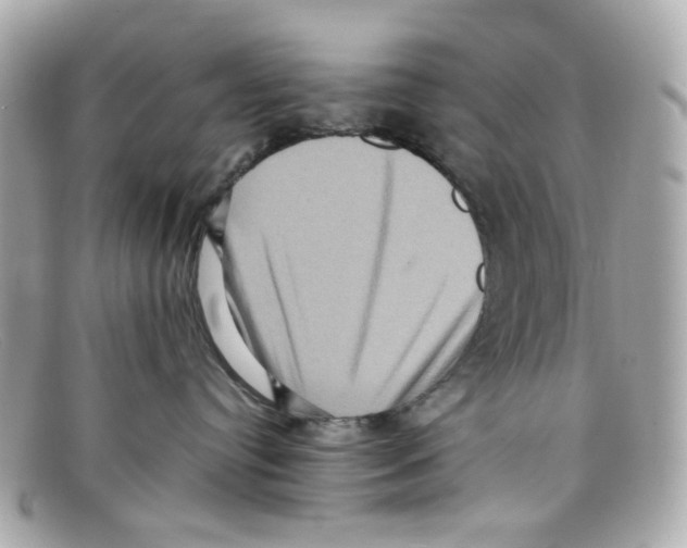 X0000097960384200804211109