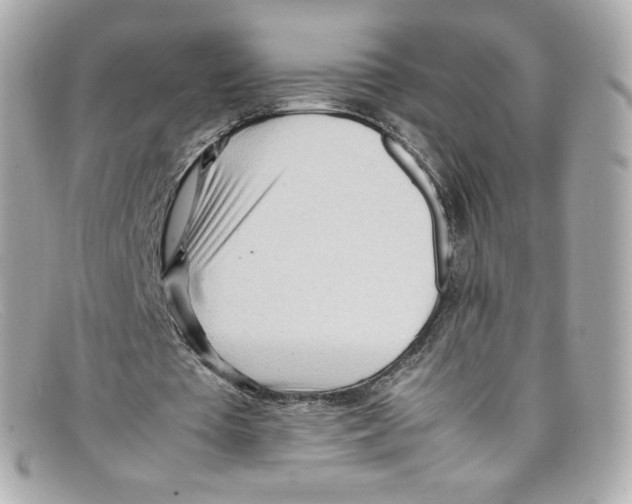 X0000097960385200804211109