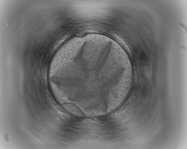 X0000097960386200804211109