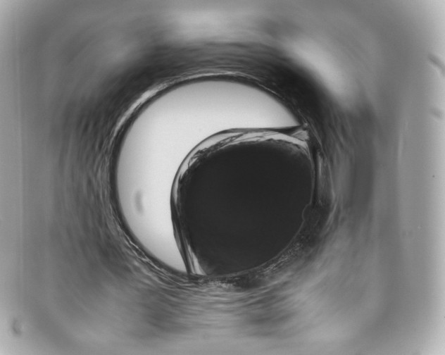 X0000097960387200804211109
