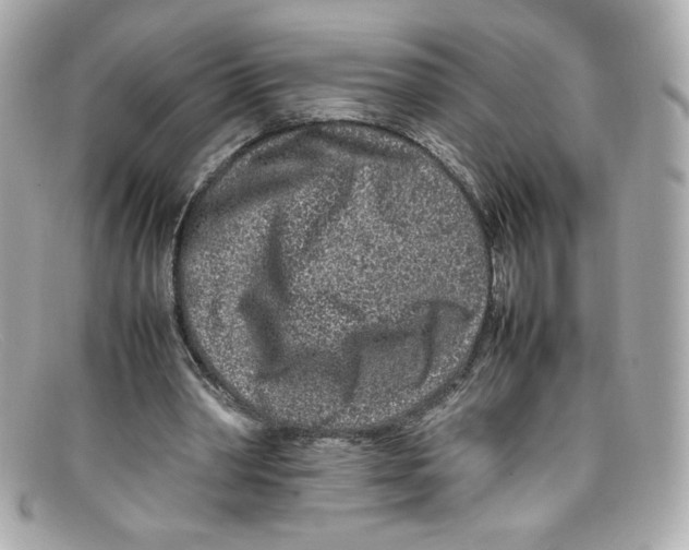 X0000097960390200804211109