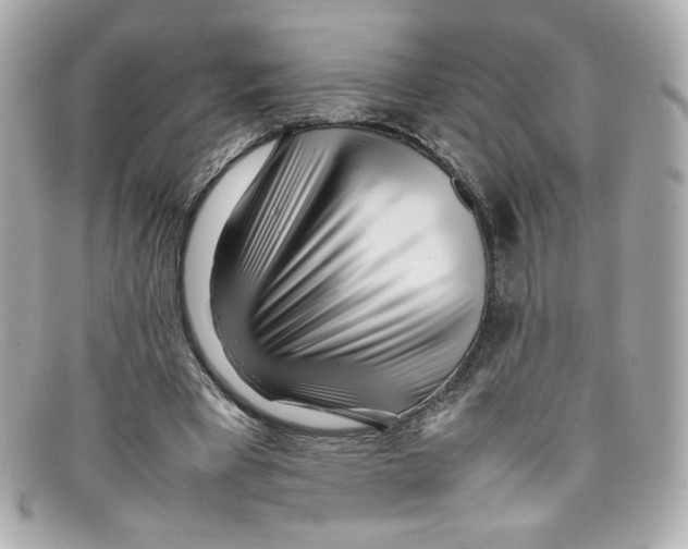 X0000097960393200804211108