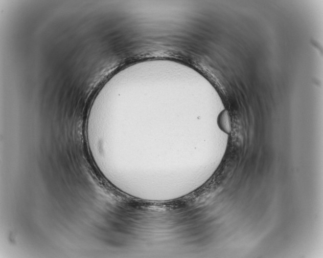 X0000097960394200804211108