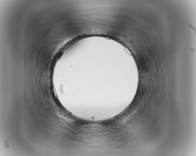 X0000097960395200804211108