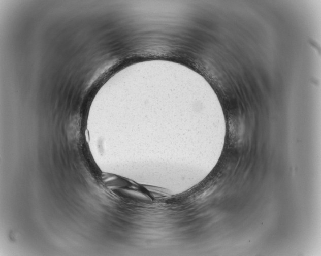 X0000097960396200804211108