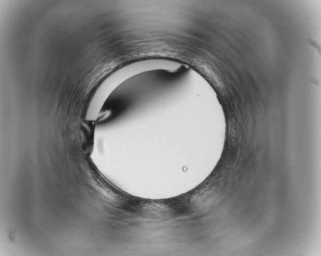 X0000097960397200804211108