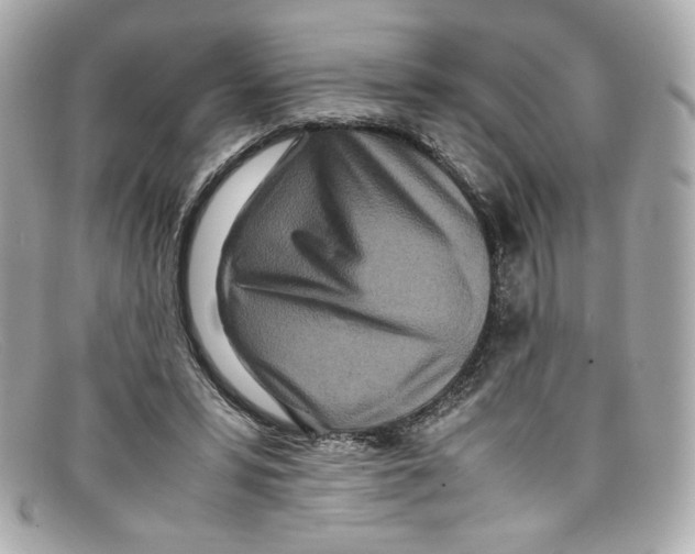 X0000097960399200804211108