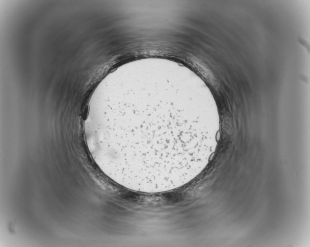 X0000097960401200804211108