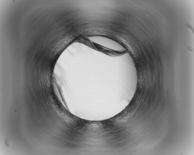 X0000097960402200804211108