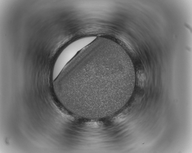 X0000097960404200804211108