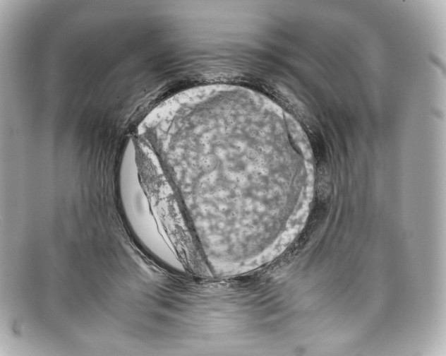 X0000097960405200804211108
