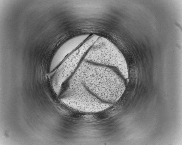 X0000097960406200804211108