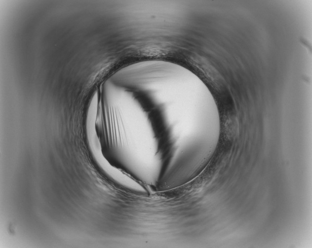 X0000097960407200804211108