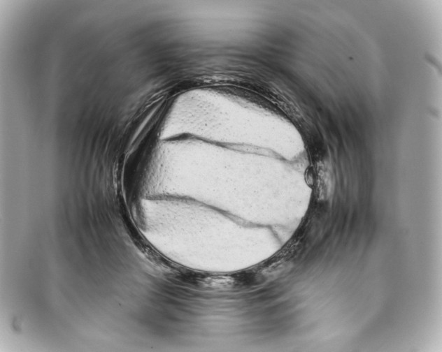 X0000097960410200804211108