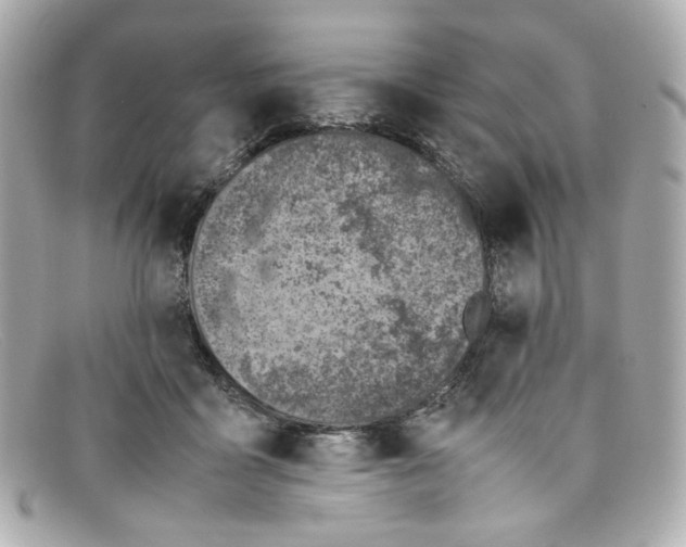 X0000097960411200804211108
