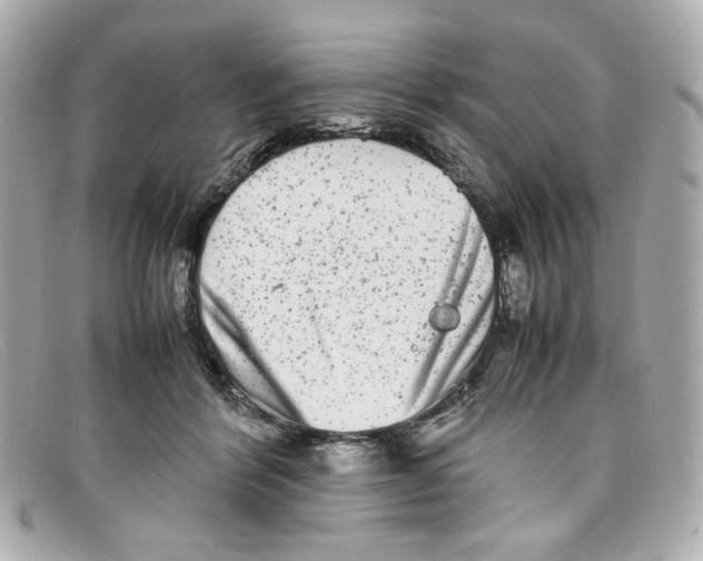X0000097960412200804211108